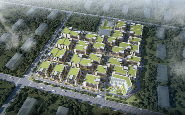 1653968349165498.jpg 1_副本.jpg