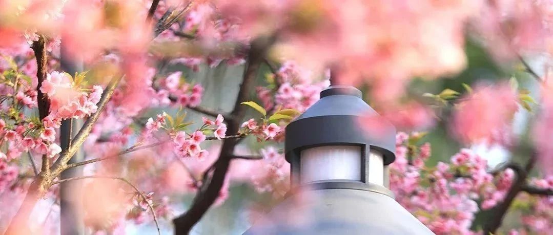 致敬了不起的她 | 眼中有光，心中有夢，世界因您而更美